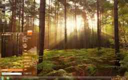 清晨森林的自然风景win7主题桌面