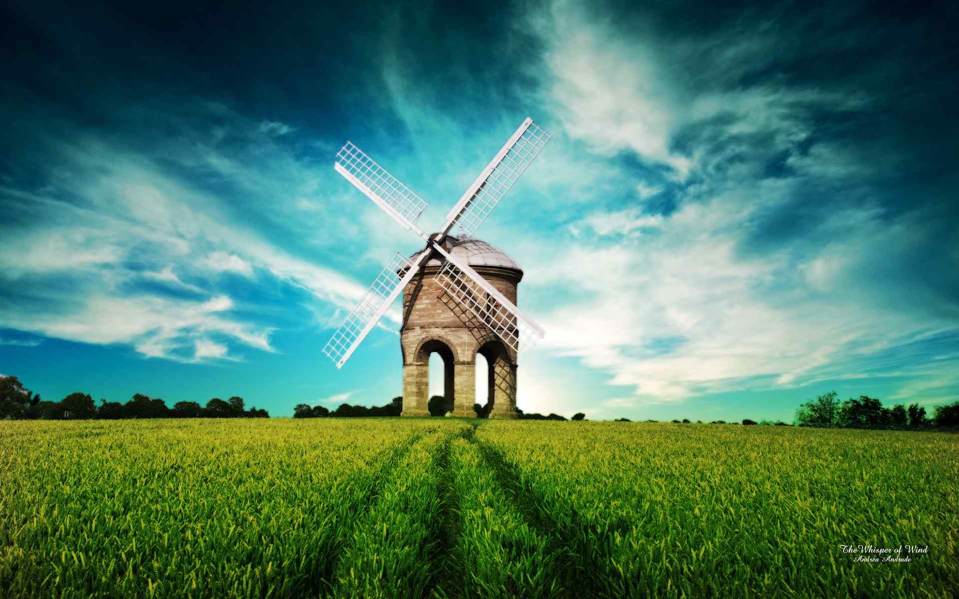 美丽草原上的风车风景摄影高清壁纸图片