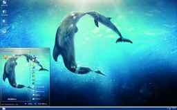 动物海豚可爱xp主题桌面