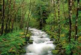 溪水河流高清自然