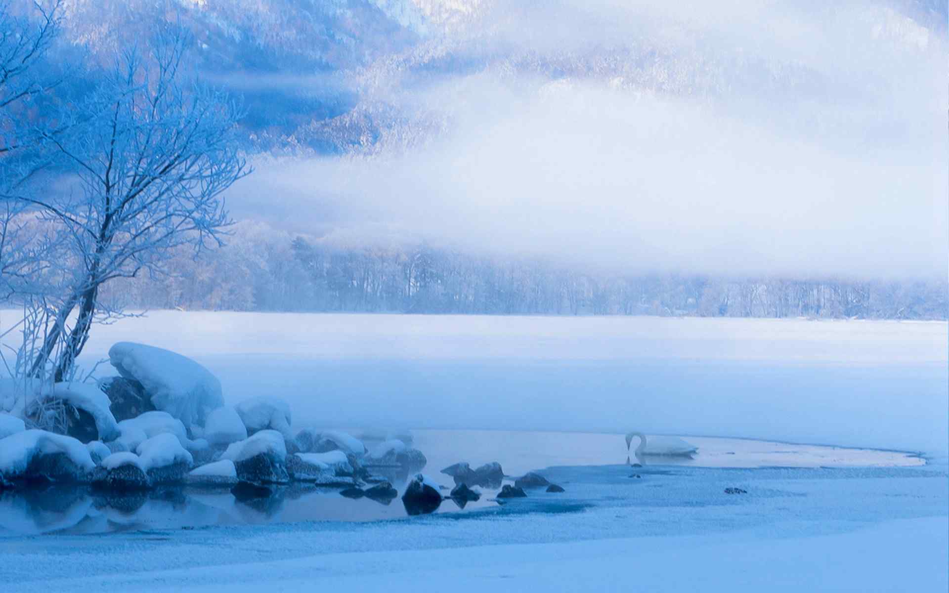唯美梦幻的冬日雪景图片桌面壁纸