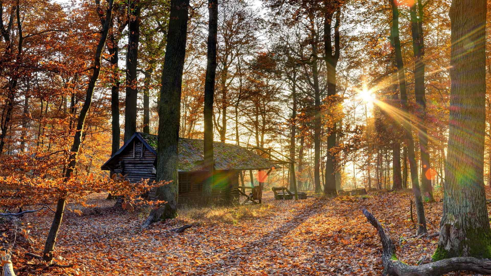 森林小屋 唯美秋季景色高清电脑桌面壁纸