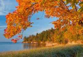 秋意渐浓 唯美自然风景图片桌面壁纸