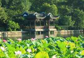 美丽杭州西湖风景
