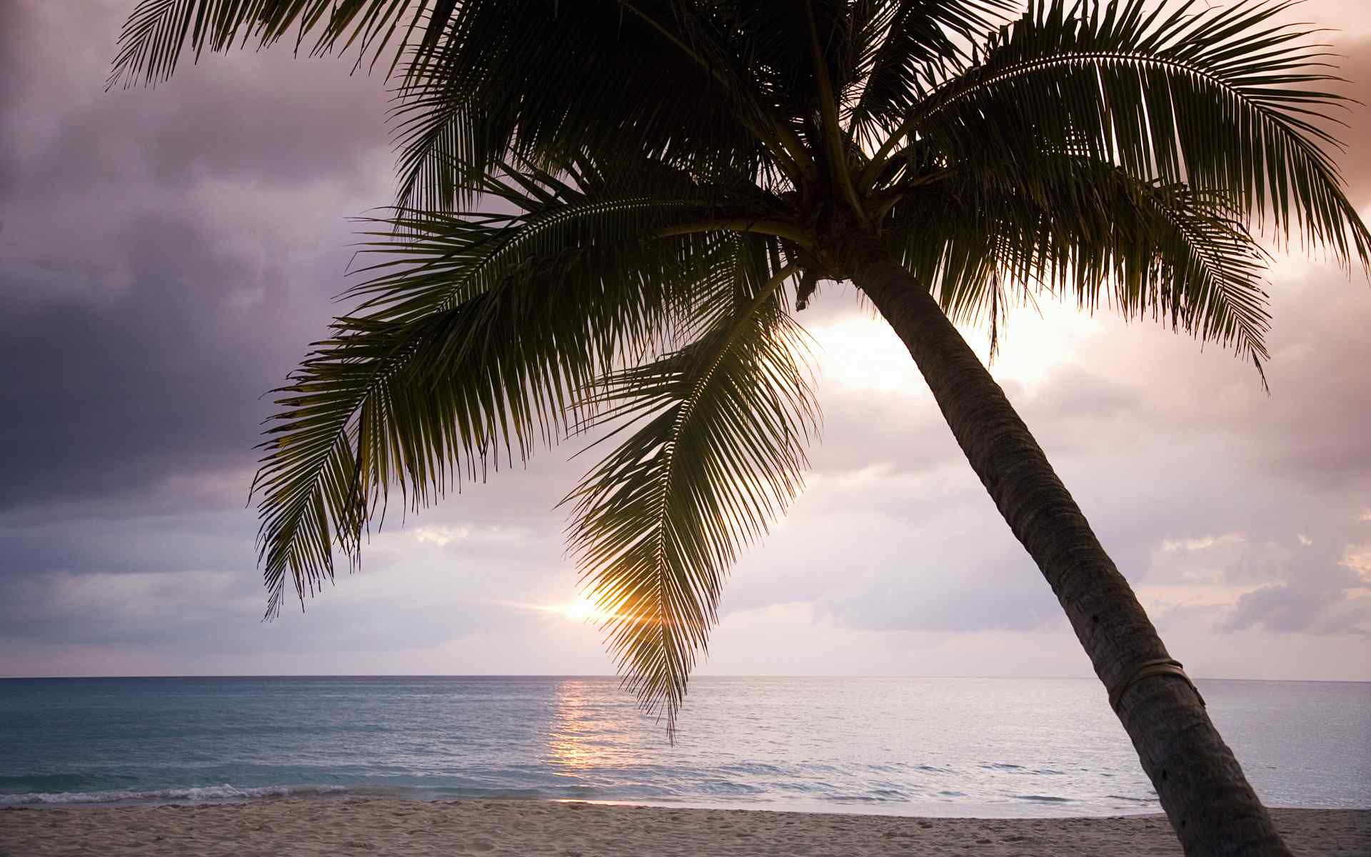 清新美丽的加勒比海岸线电脑桌面风景壁纸（12辑）