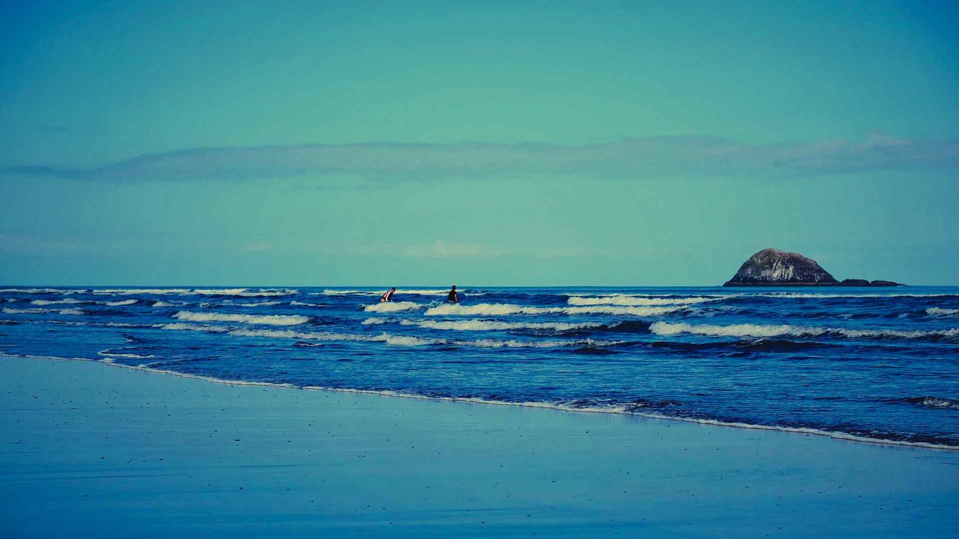 新西兰鸟岛黑沙滩风景图片桌面壁纸