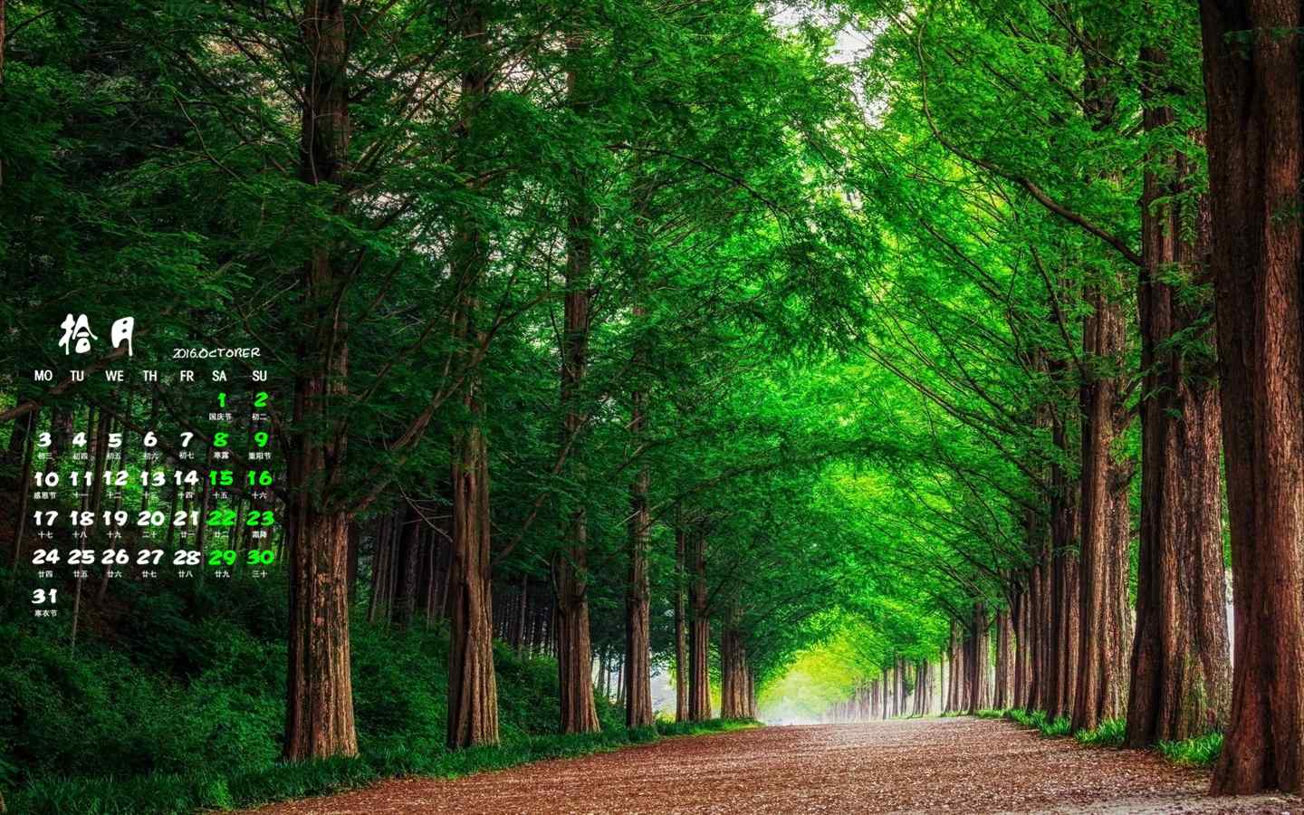 唯美绿色树林2016年10月日历高清桌面壁纸