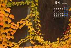 2016年10月日历墙上的秋叶摄影精选壁纸图片下载