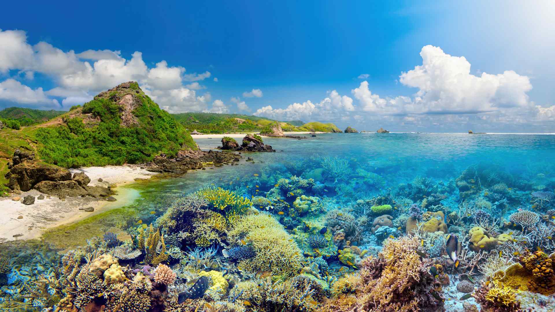 美丽的海底珊瑚礁高清风景图片桌面壁纸第一辑