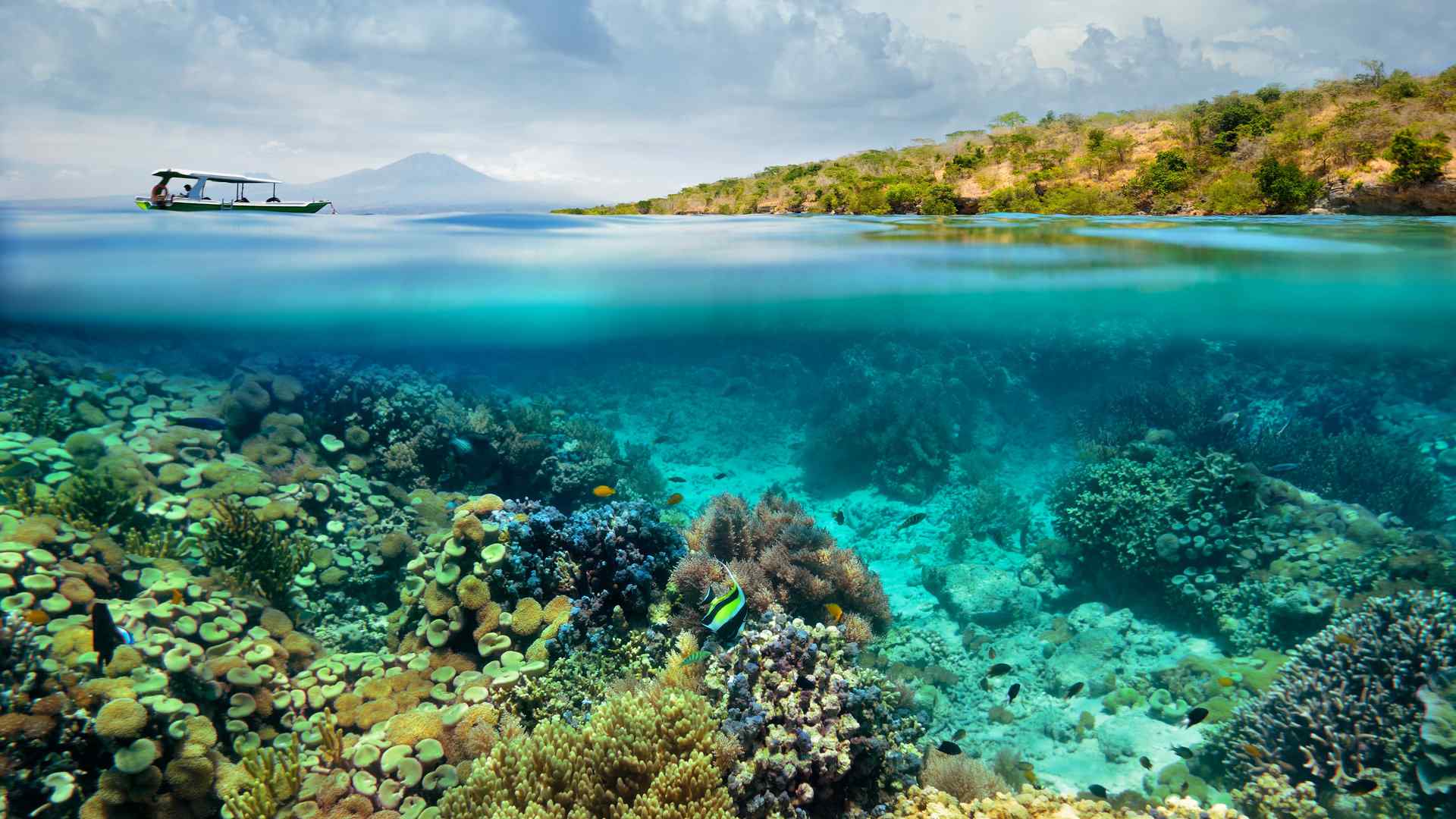 美丽的海底珊瑚礁高清风景图片桌面壁纸第二辑