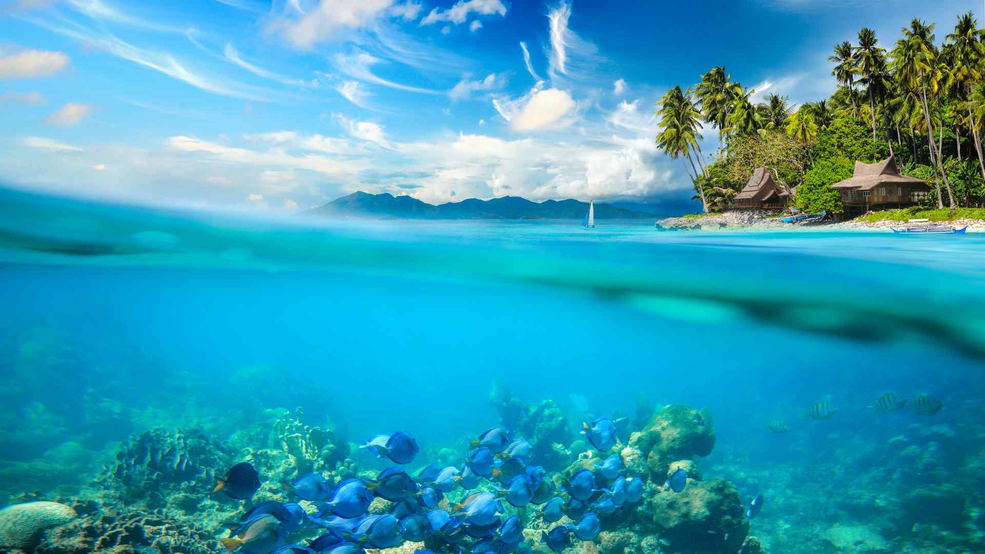 美丽的海底珊瑚礁高清风景图片桌面壁纸第二辑