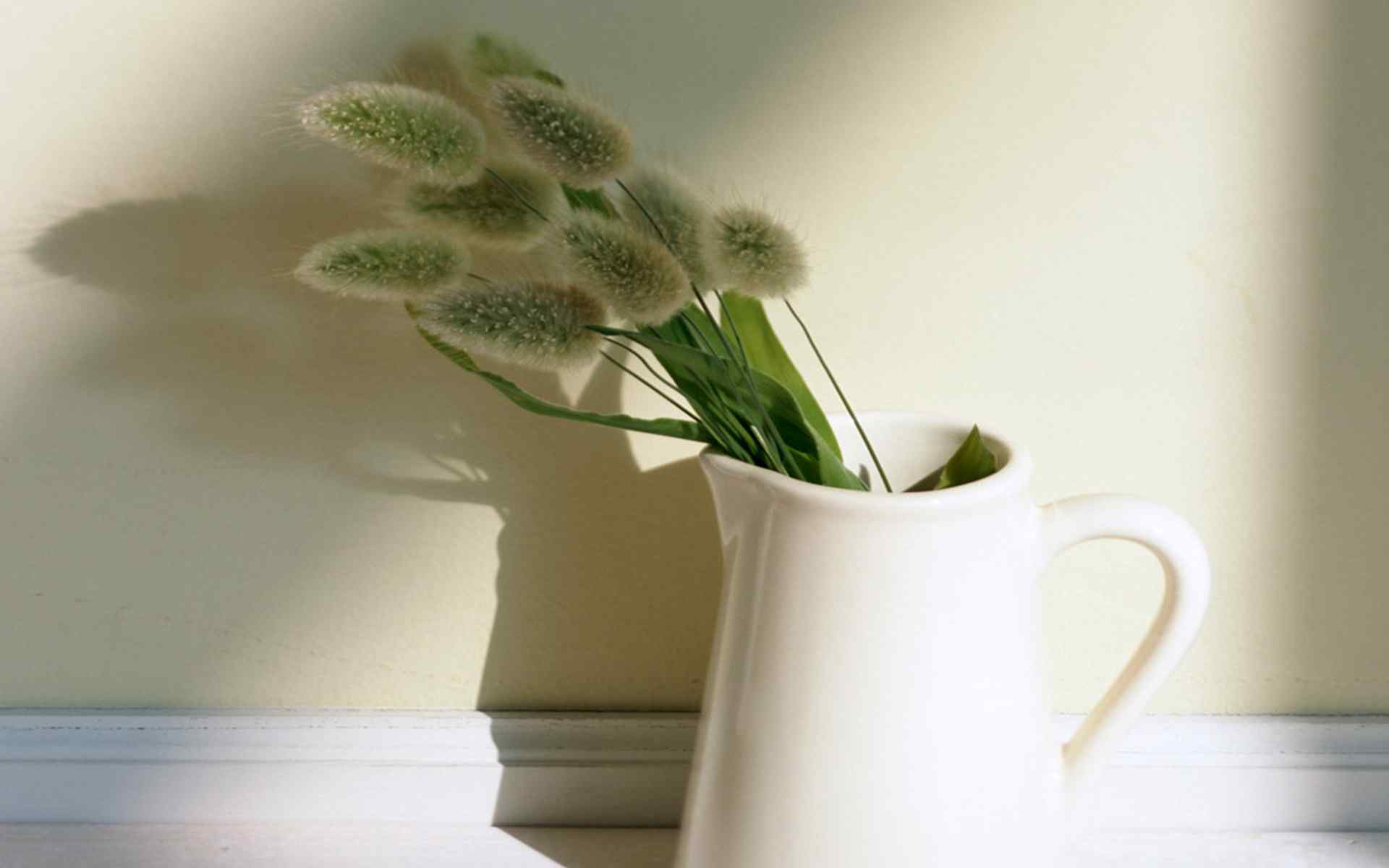 精致简约的绿色小花盆栽图片桌面壁纸