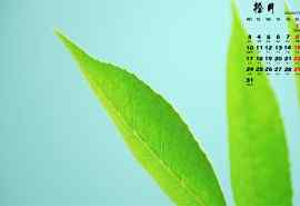 2016年10月日历小清新植物绿色护眼壁纸图片下载