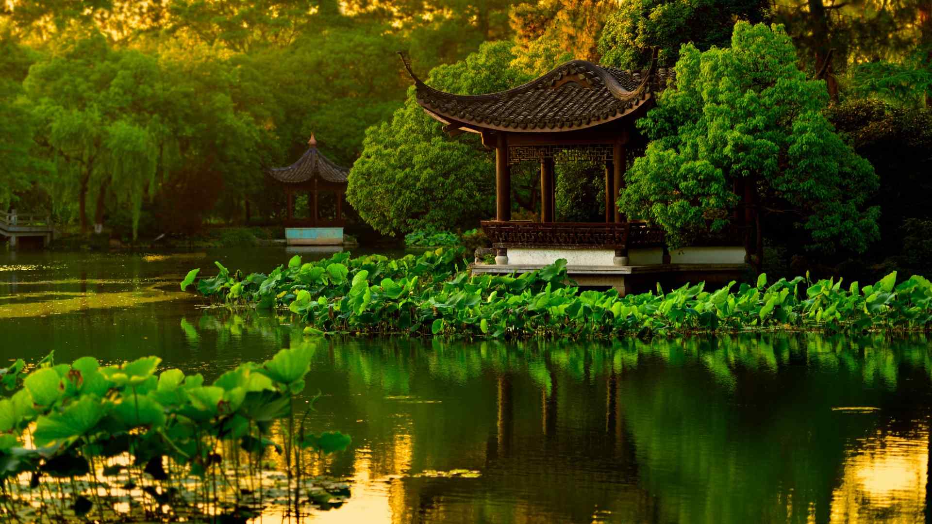 杭州西湖公园凉亭树木池塘荷花风景桌面壁纸