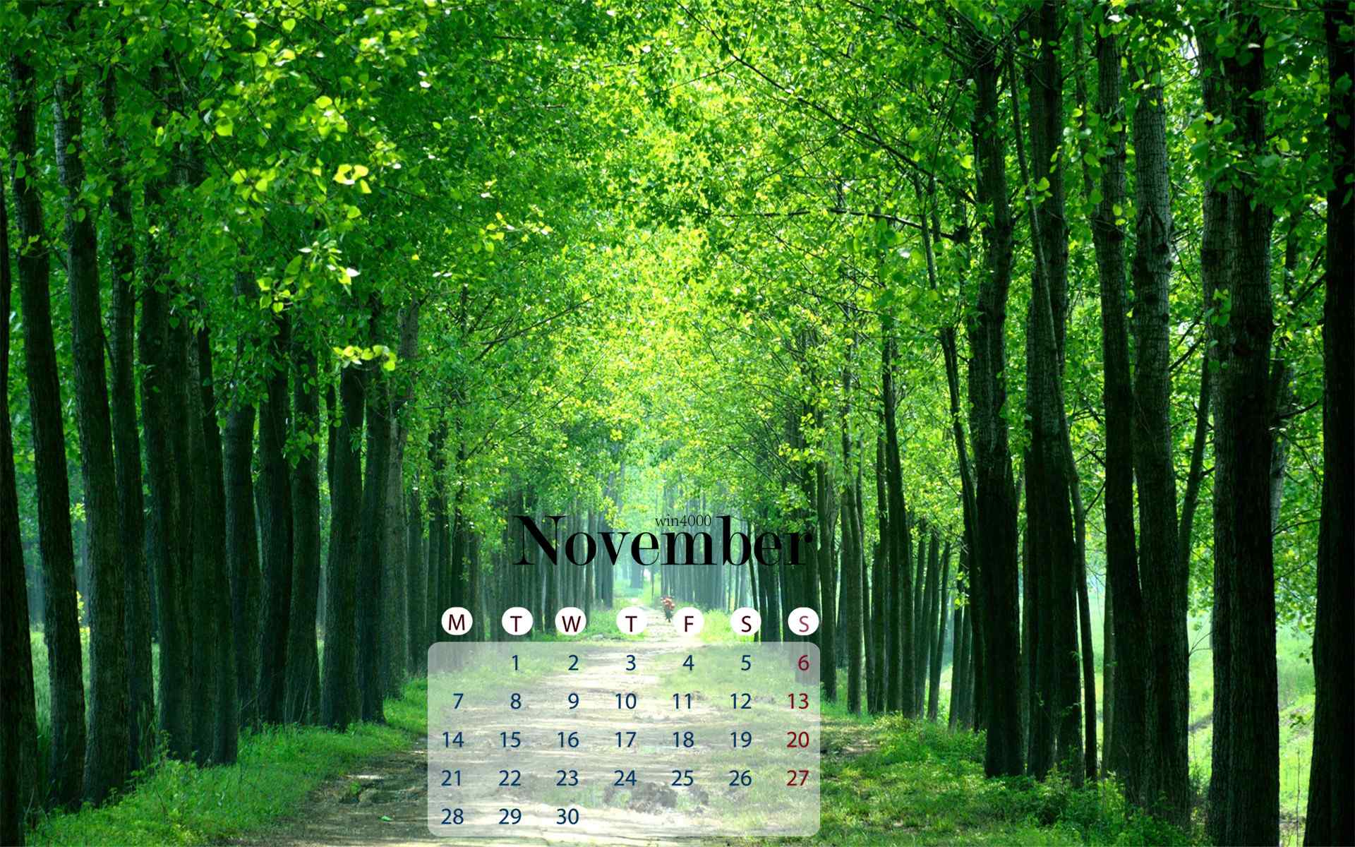 2016年11月日历壁纸之清新绿叶自然风景壁纸
