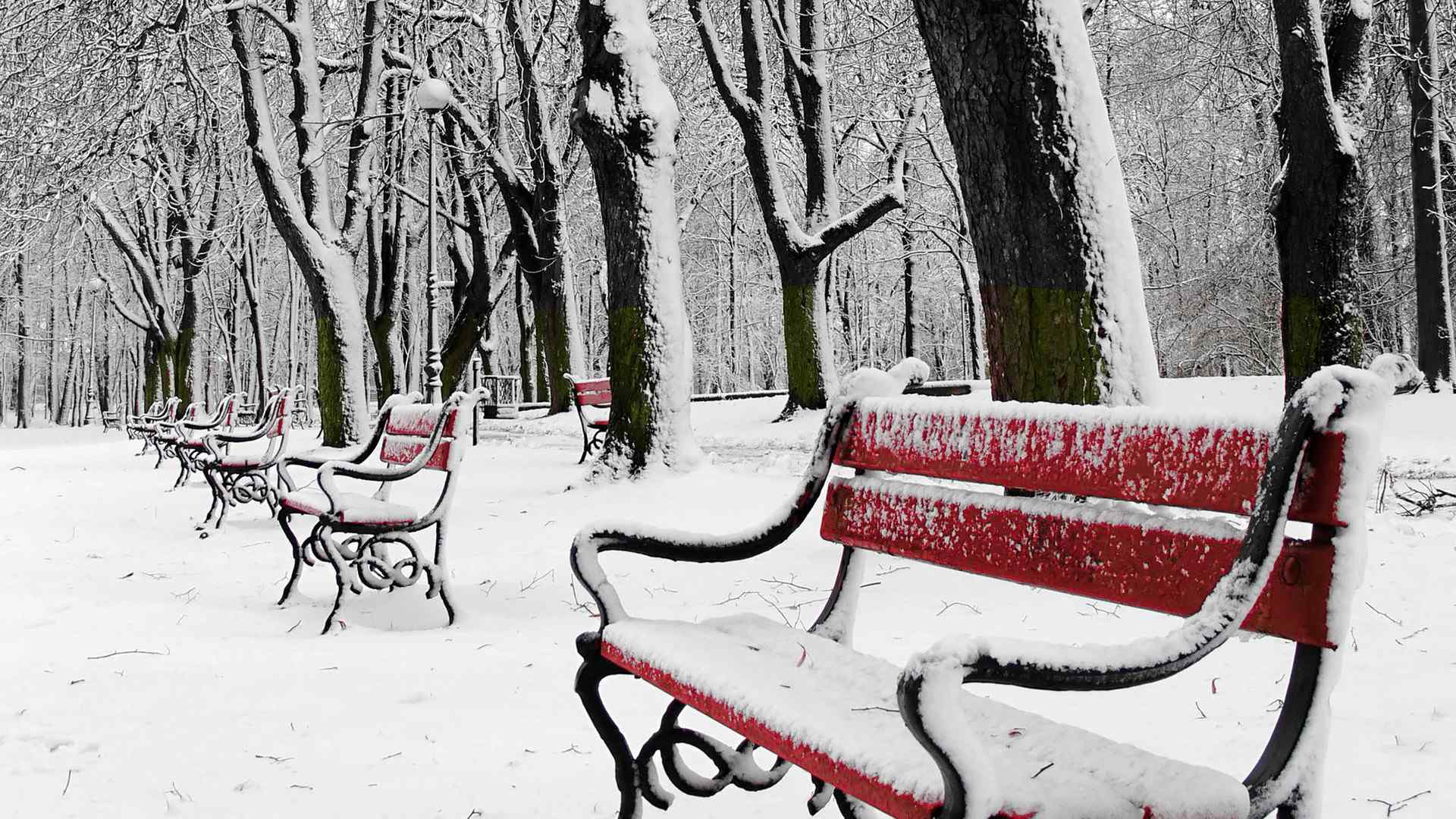 冬日美丽的雪景桌面壁纸图集