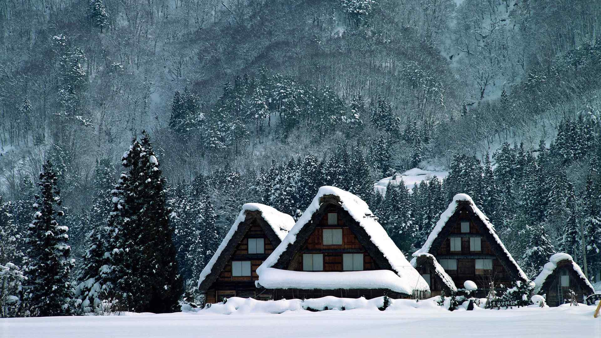 冬日美丽的雪景桌面壁纸图集