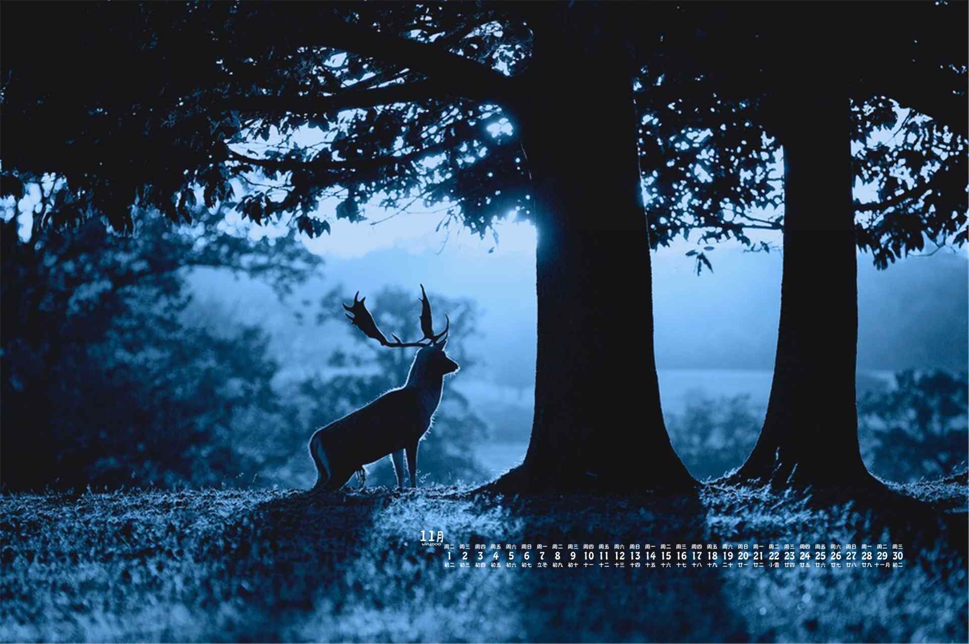 唯美孤寂的森林麋鹿11月日历壁纸