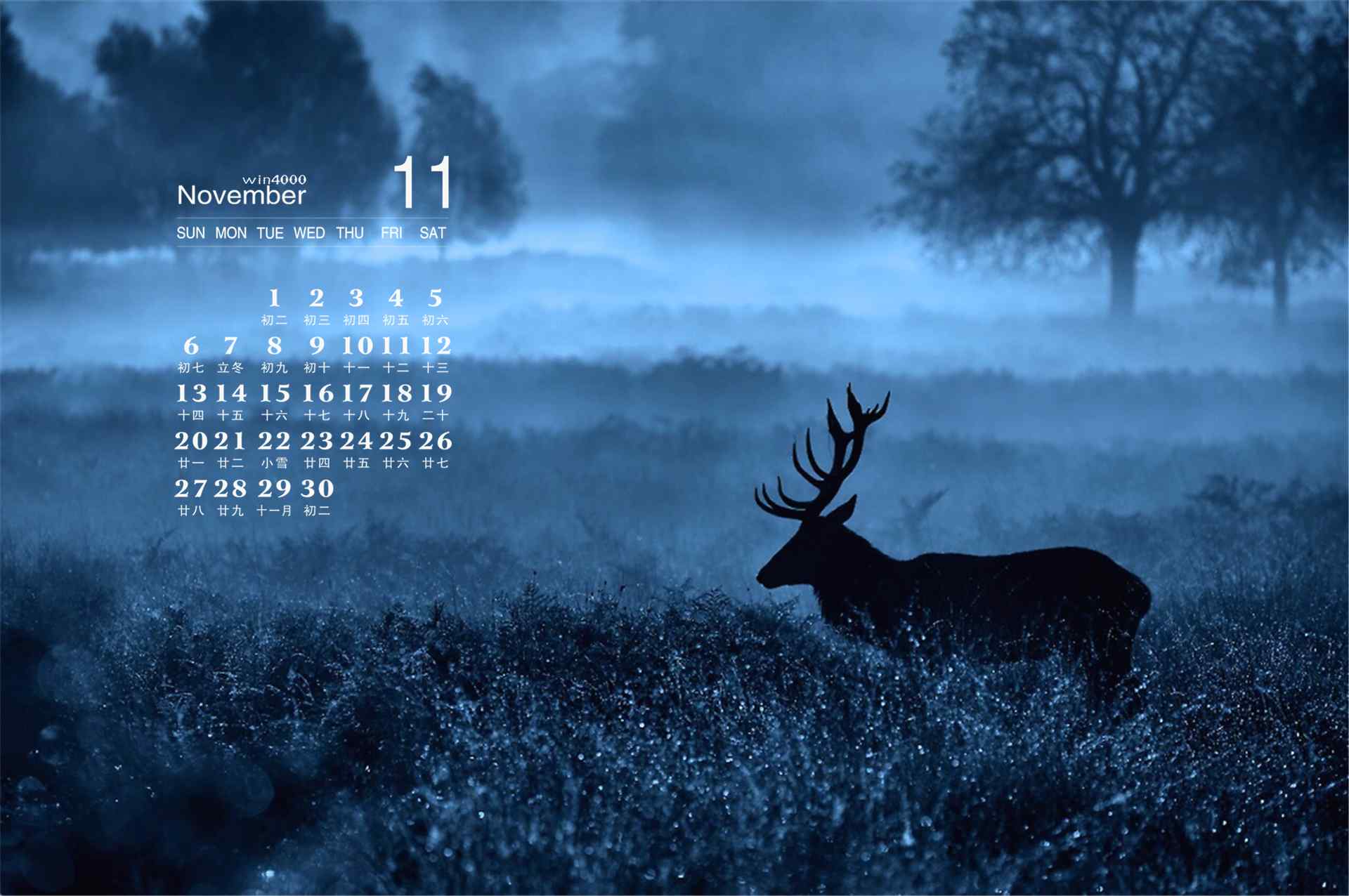 唯美孤寂的森林麋鹿11月日历壁纸
