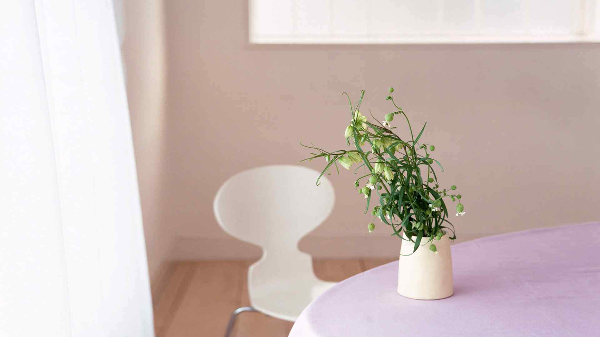 小清新简约室内鲜花植物桌面壁纸