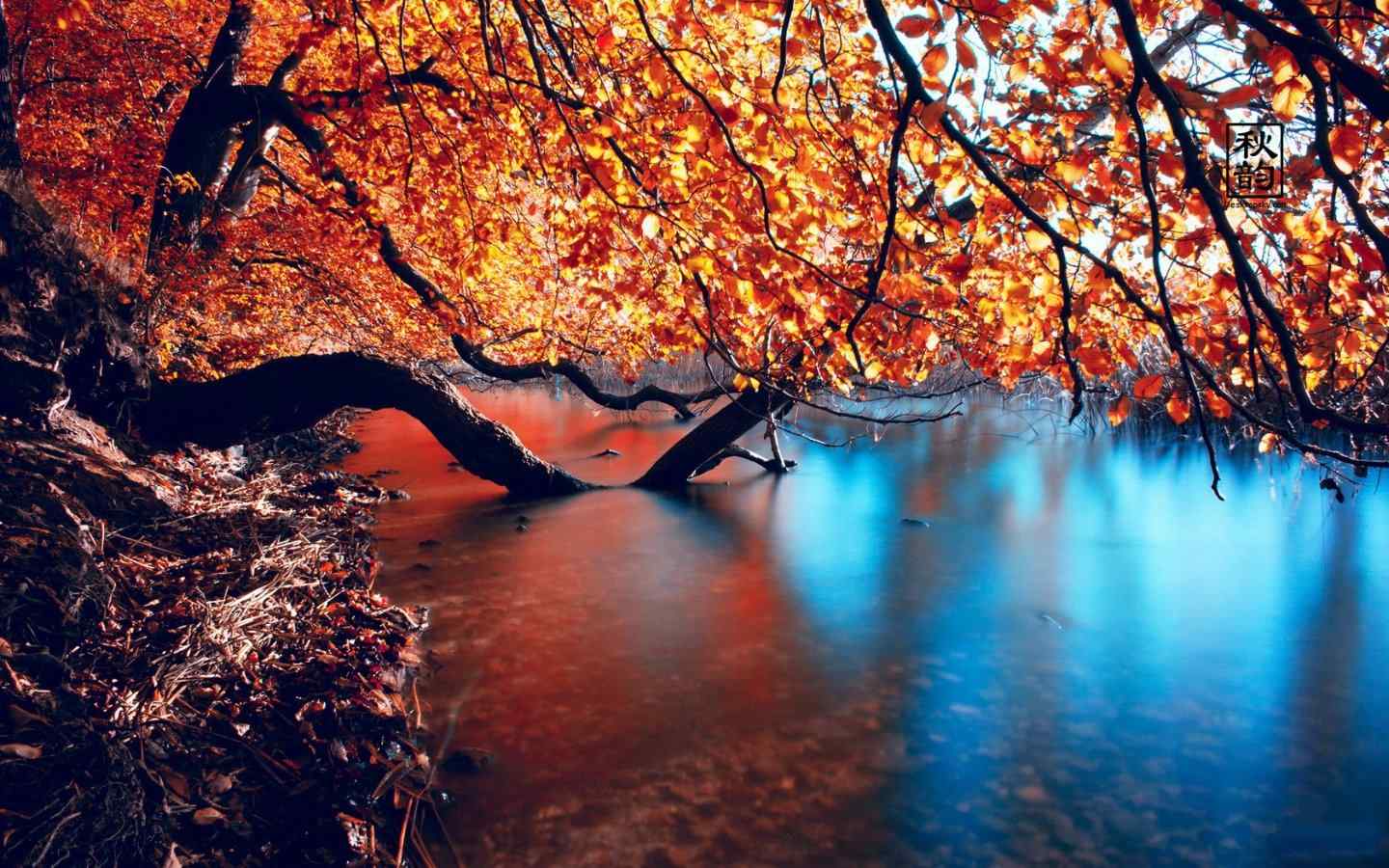 美丽的湖畔秋韵唯美摄影图片桌面壁纸