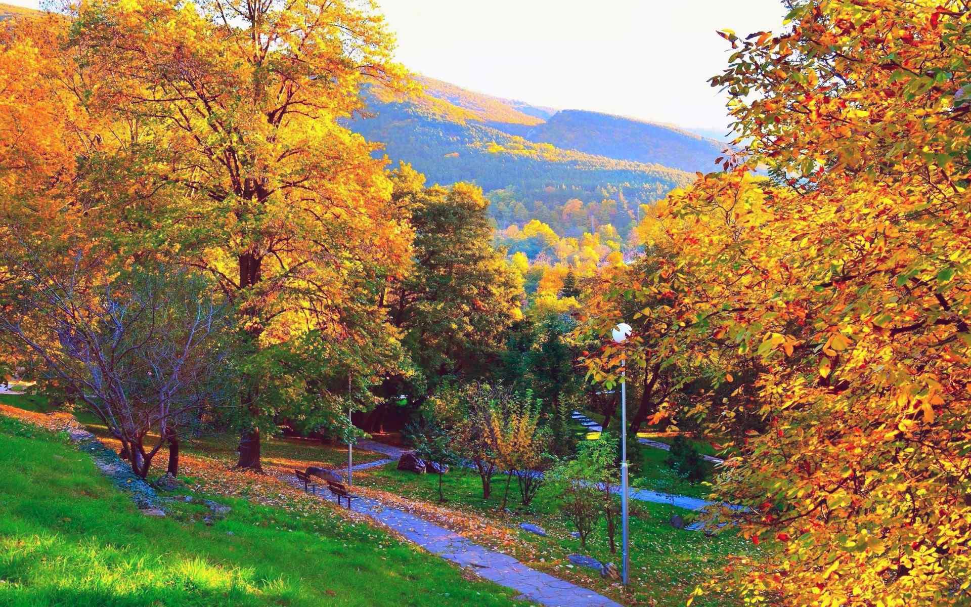 唯美的秋天公园风景壁纸大全