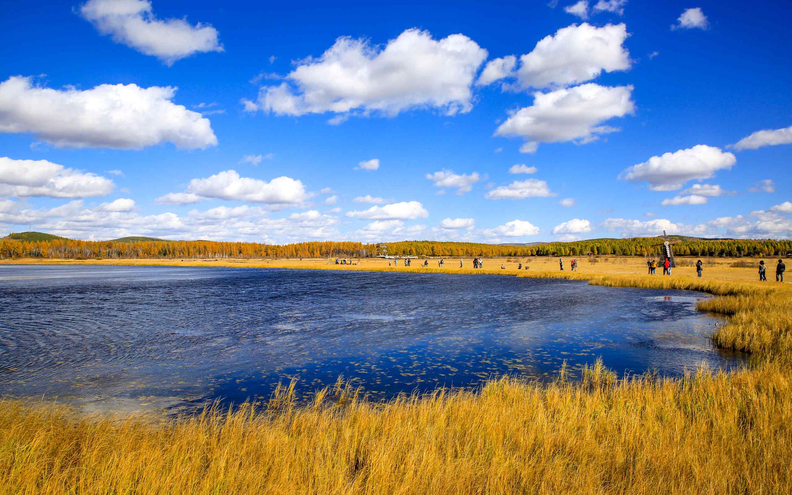 美丽的七星湖湿地自然风景桌面壁纸