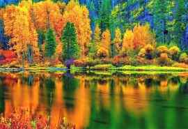 唯美秋季森林风景高清桌面壁纸