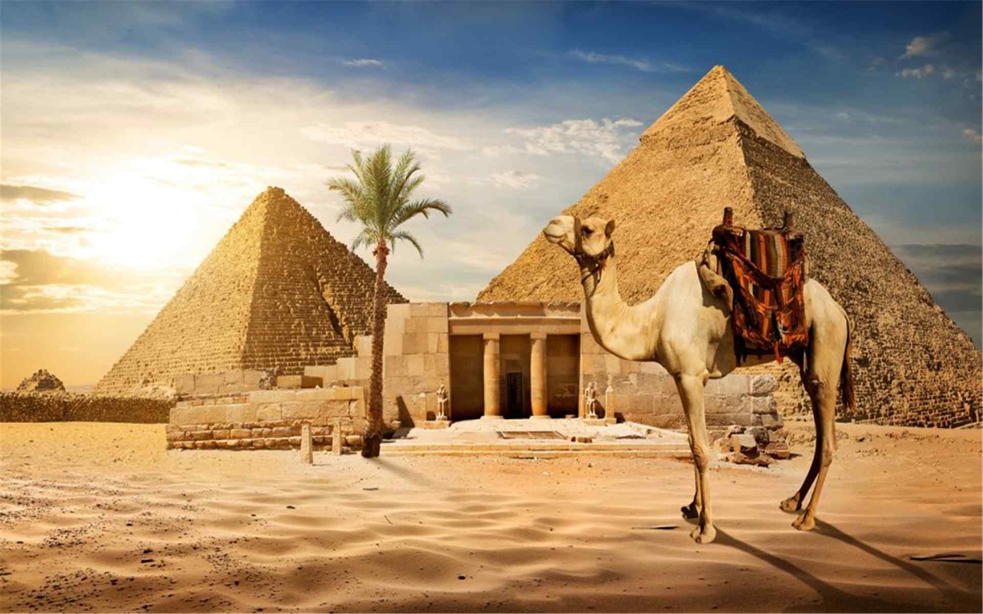 创意古埃及沙漠骆驼风景壁纸图片