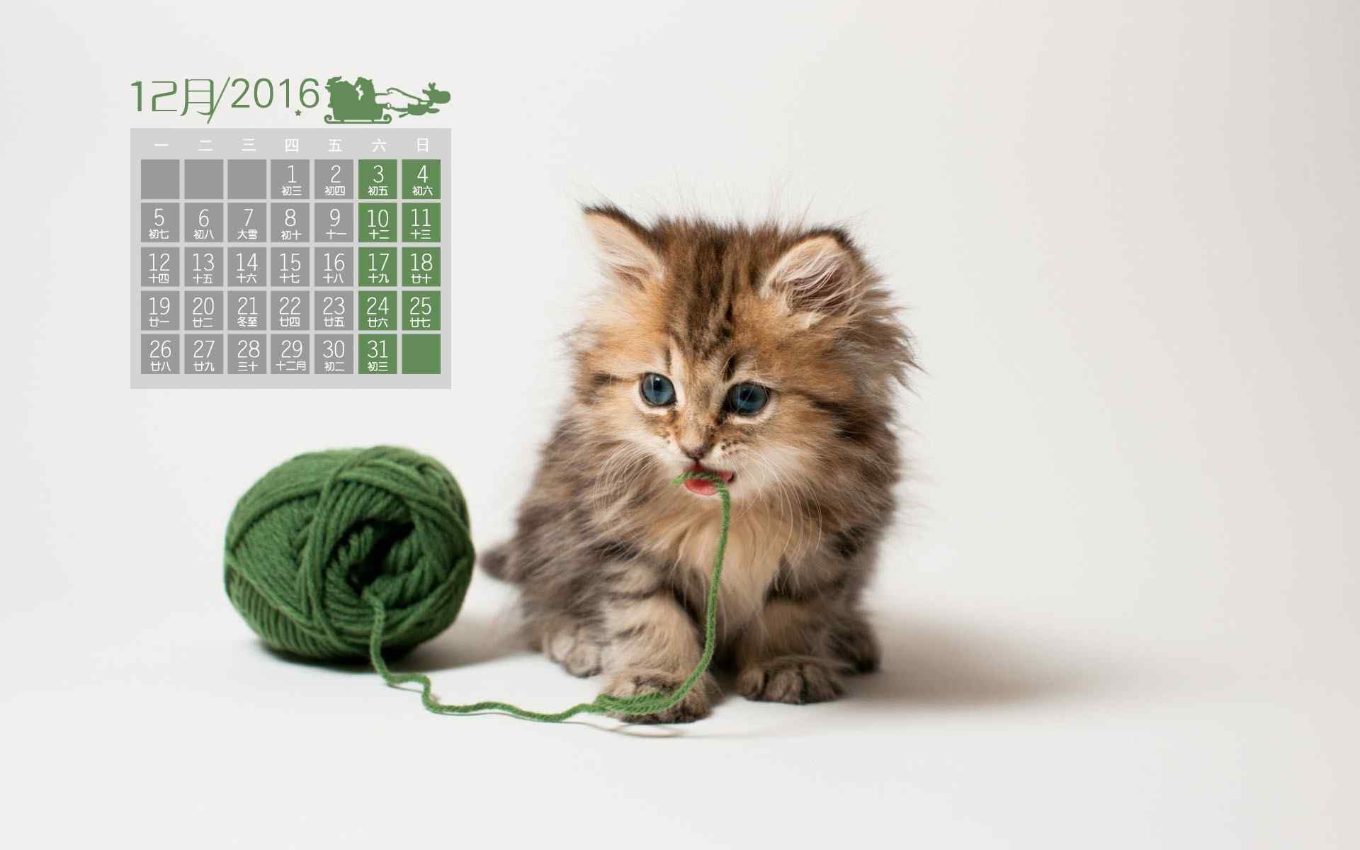 2016年12月日历之可爱的动物图片桌面壁纸