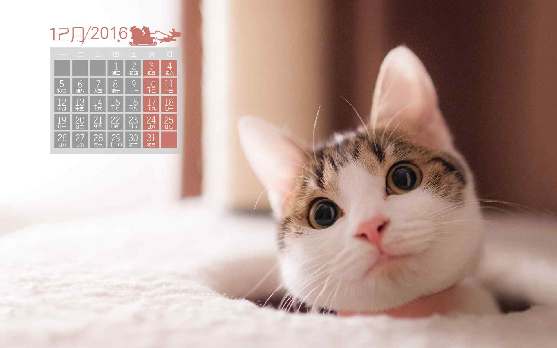 2016年12月日历萌萌哒小动物桌面壁纸