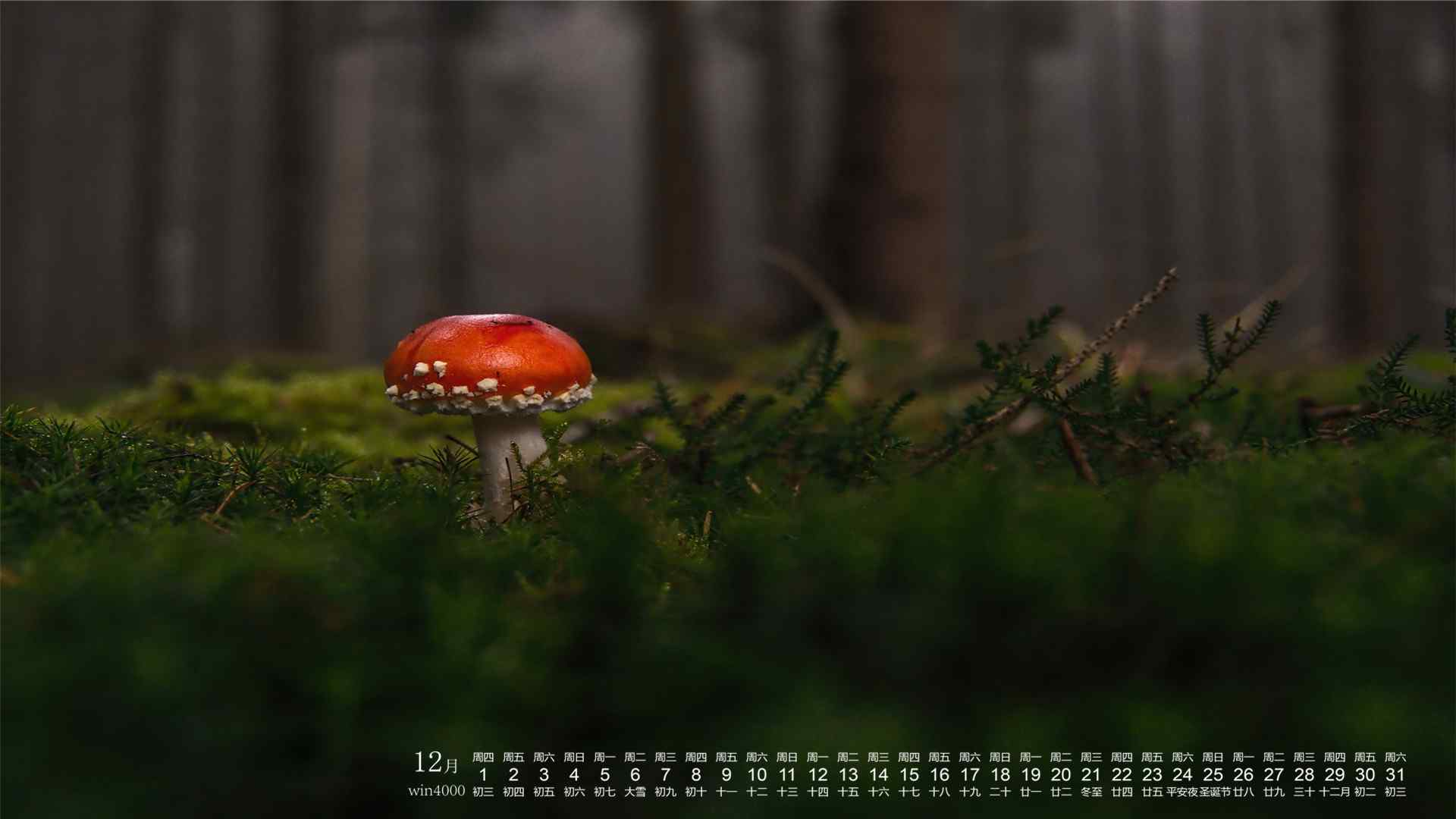 2016年12月日历可爱小清新蘑菇壁纸