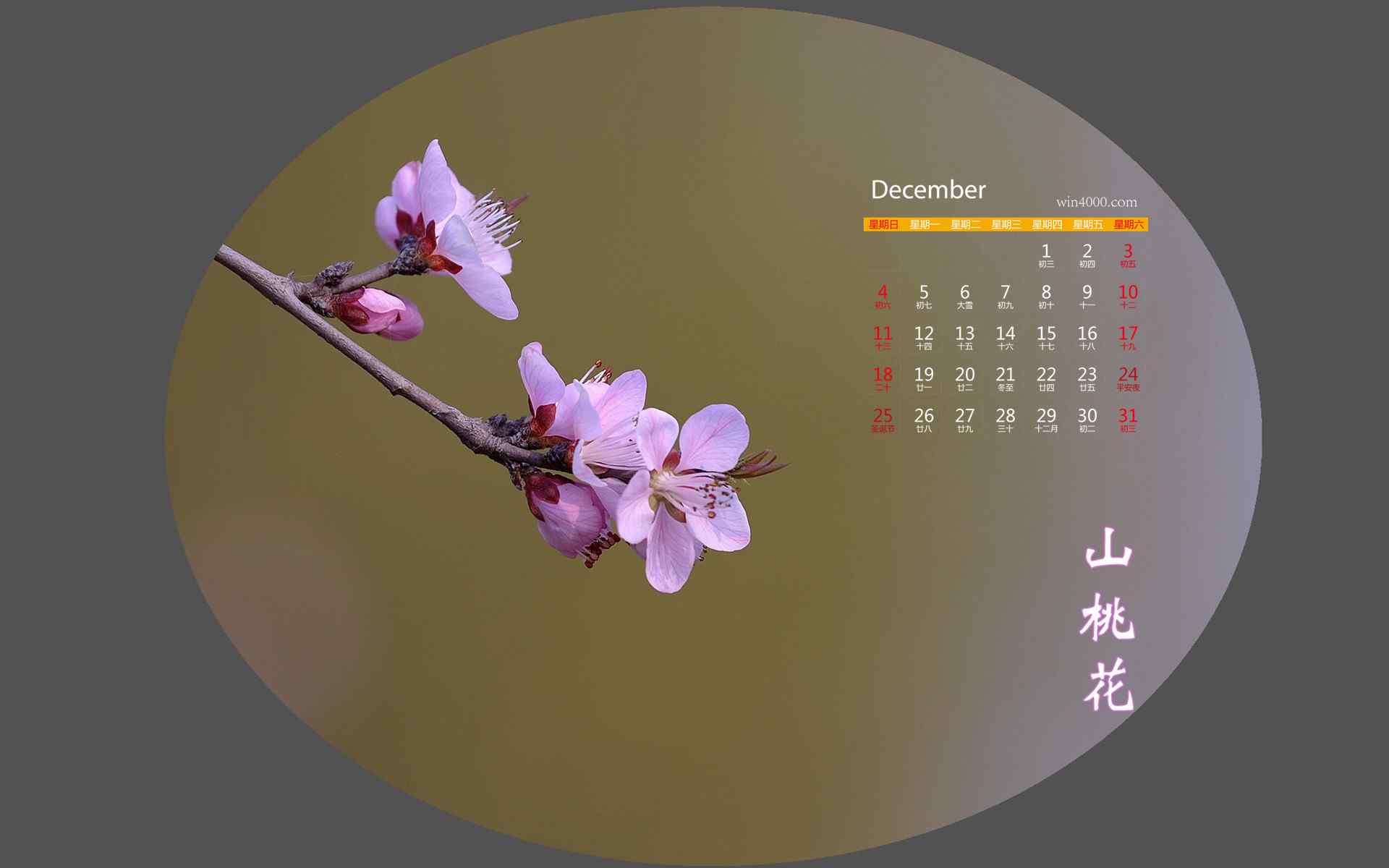 2016年12月日历唯美的山桃花桌面壁纸