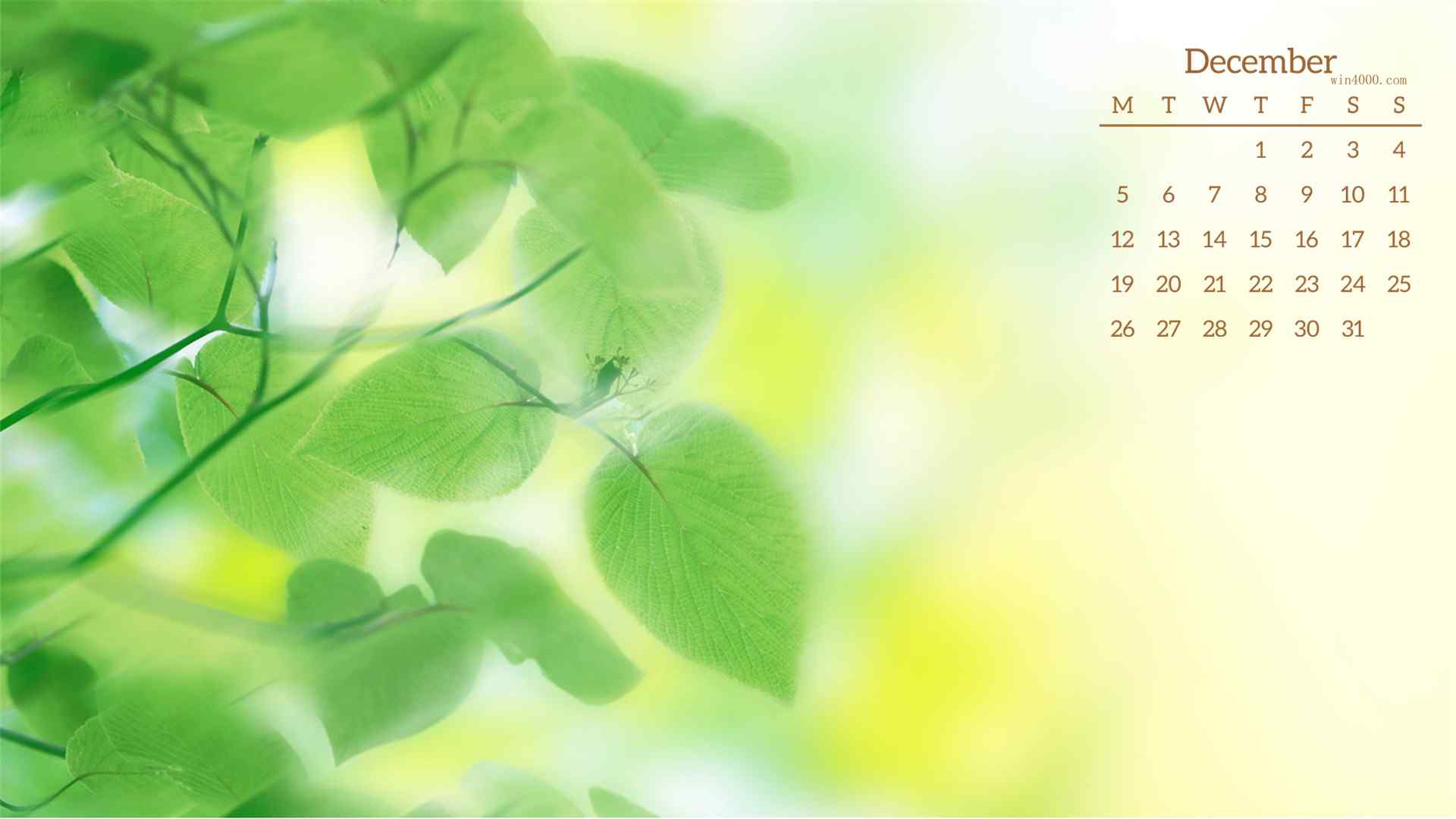 2016年12月日历小清新绿色护眼植物壁纸