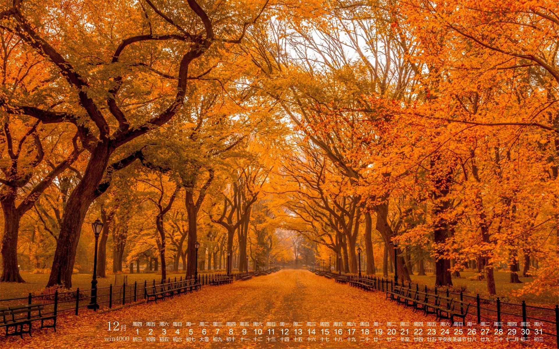 2016年12月日历唯美的秋天树林桌面壁纸