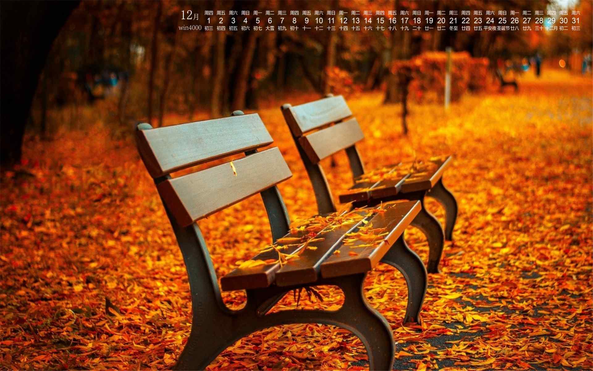 2016年12月日历唯美的秋天树林桌面壁纸