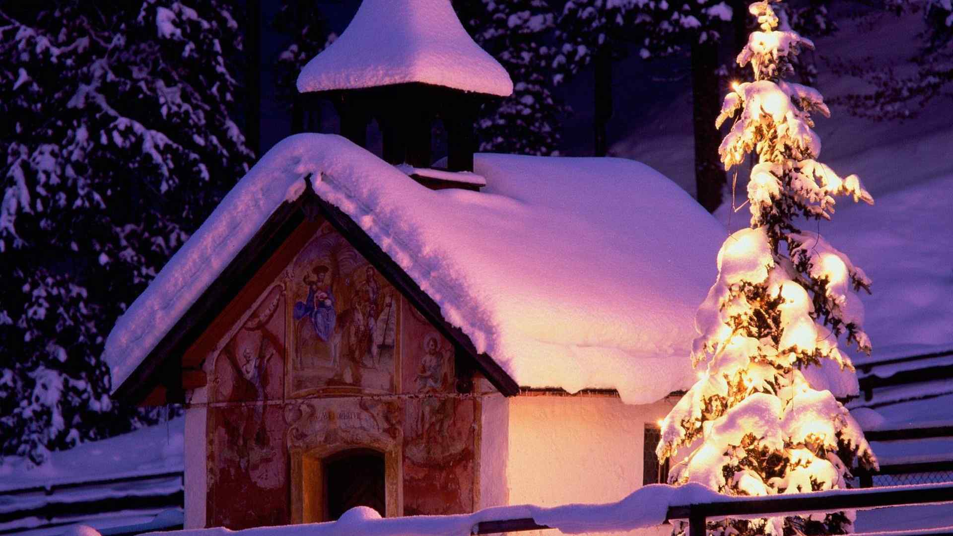 唯美的圣诞树风景图片桌面壁纸
