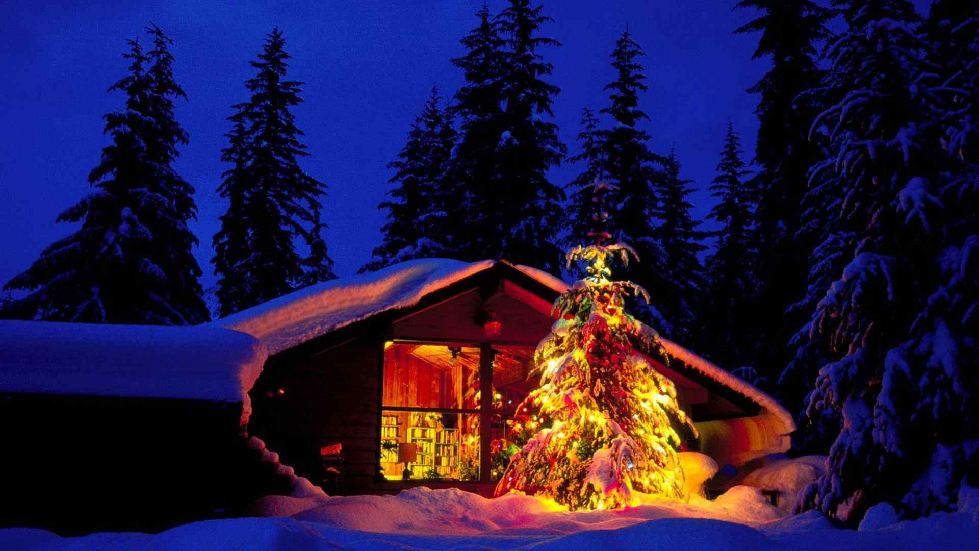 唯美的圣诞树风景图片桌面壁纸