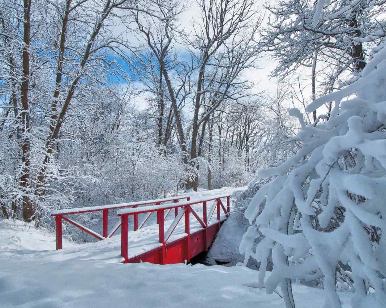 可爱的冬日雪景高清桌面壁纸