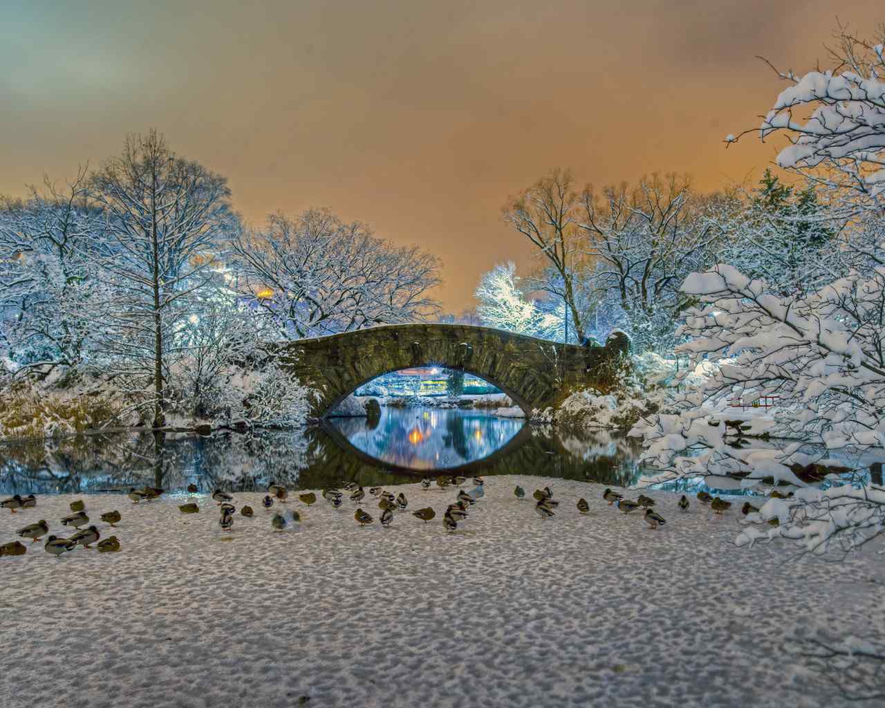 2016年Bing唯美雪景高清桌面壁纸