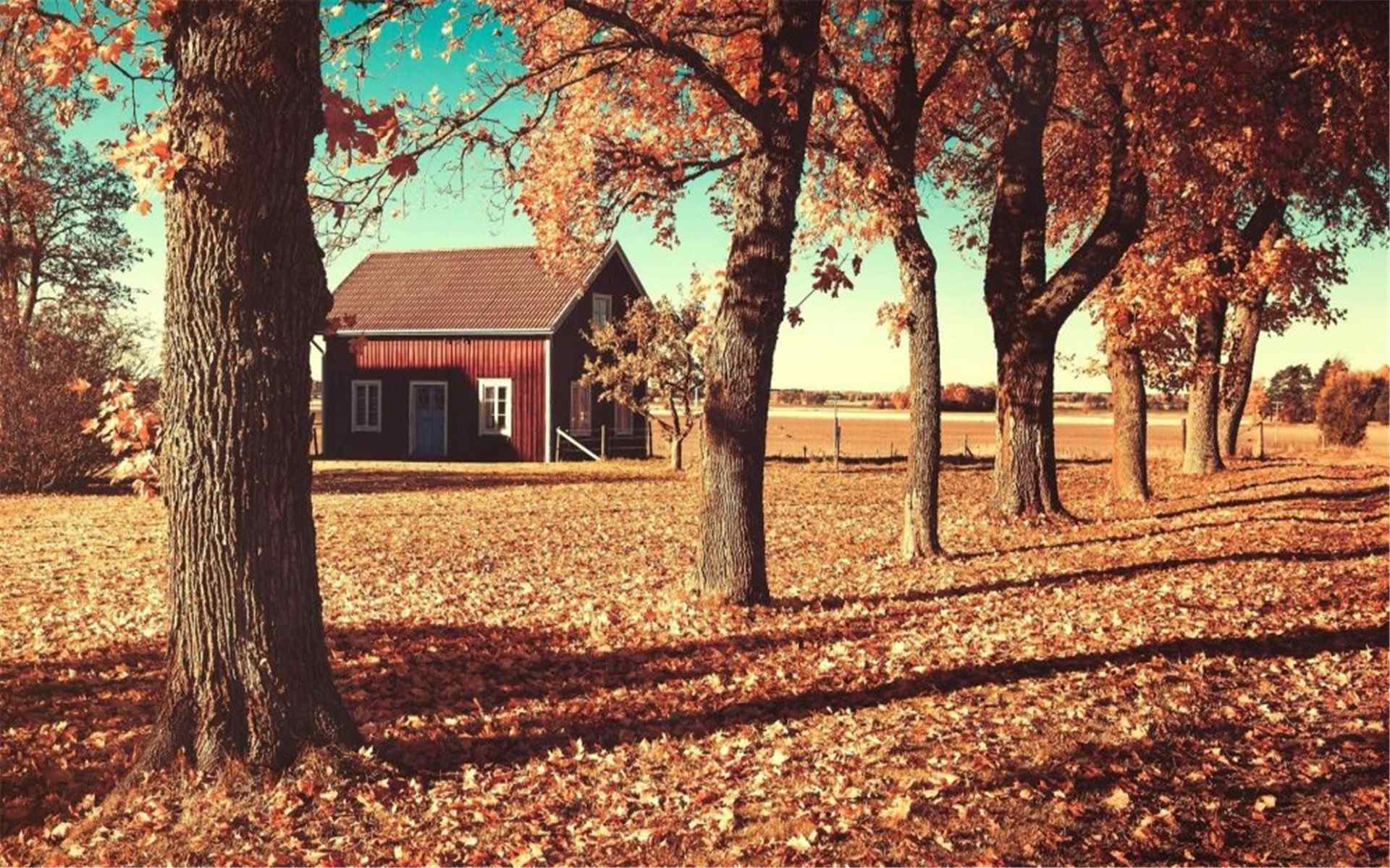 唯美秋季红枫公园迷人风景高清桌面壁纸