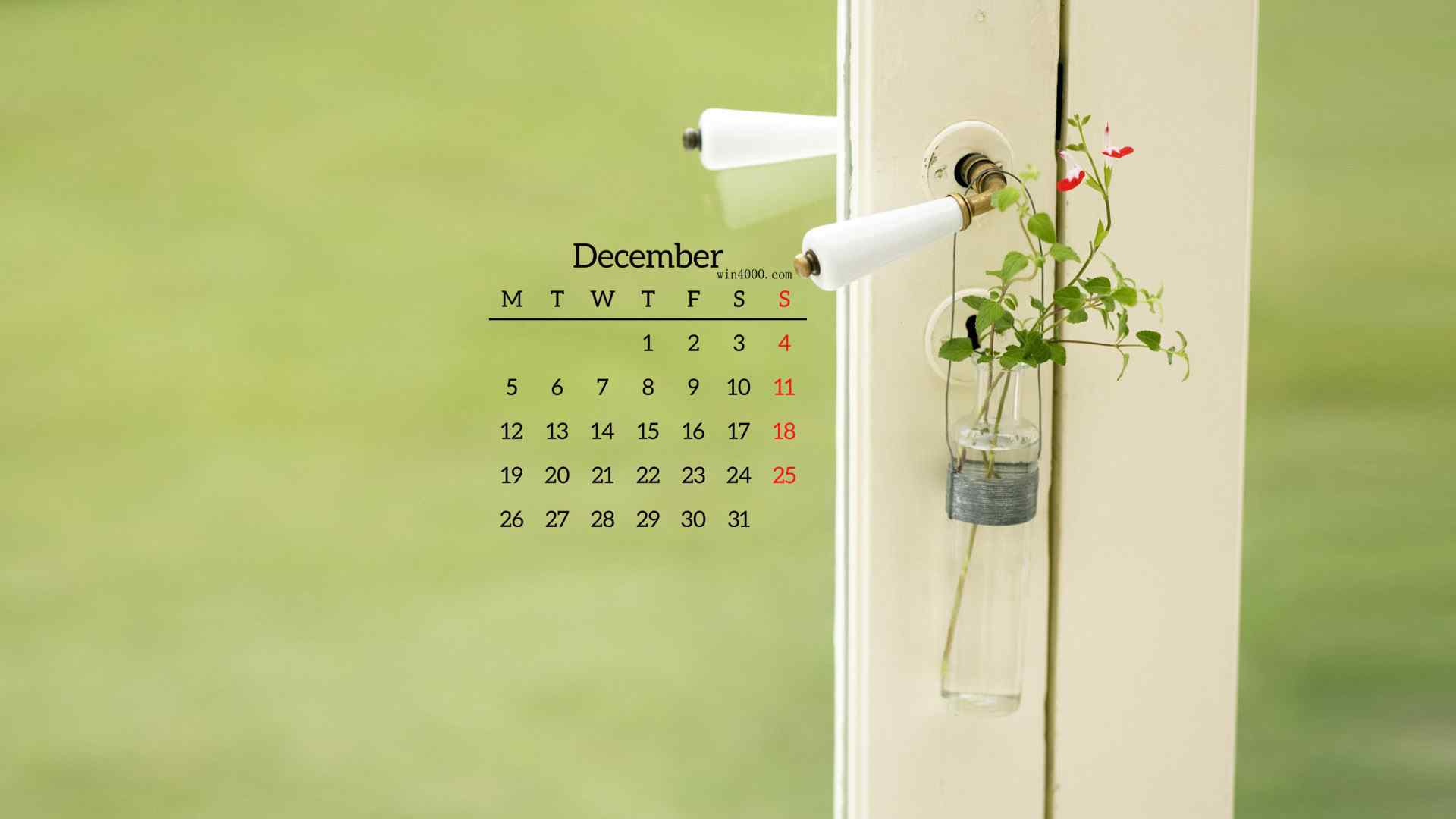 2016年12月日历壁纸之清新绿色护眼盆栽植物