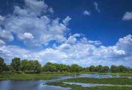 美丽的山东胶州湿地公园风景桌面壁纸