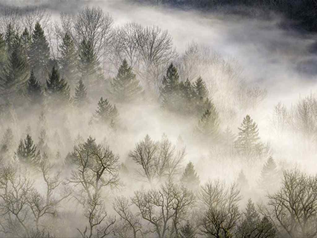 唯美的山间云雾风景图片高清壁纸