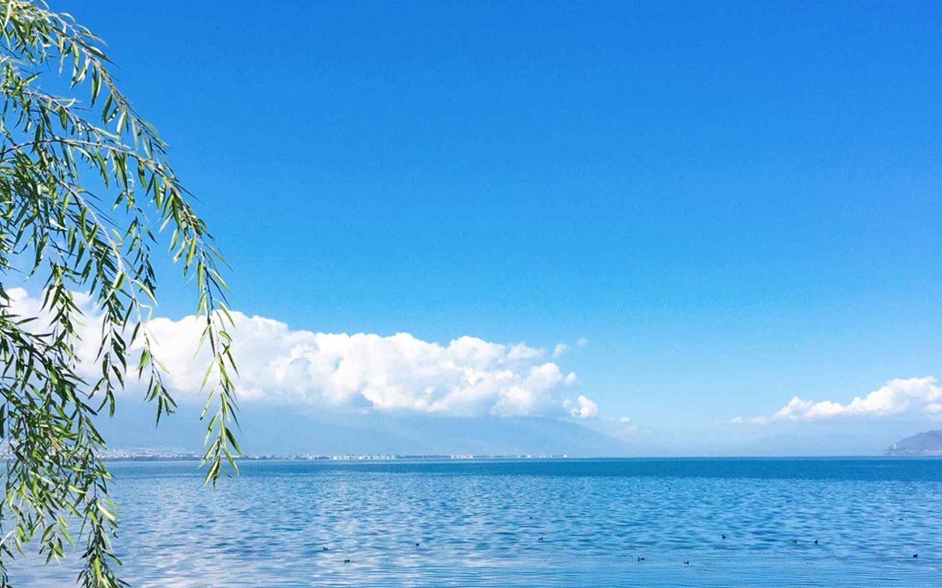 小清新淡雅湖泊自然风光图片