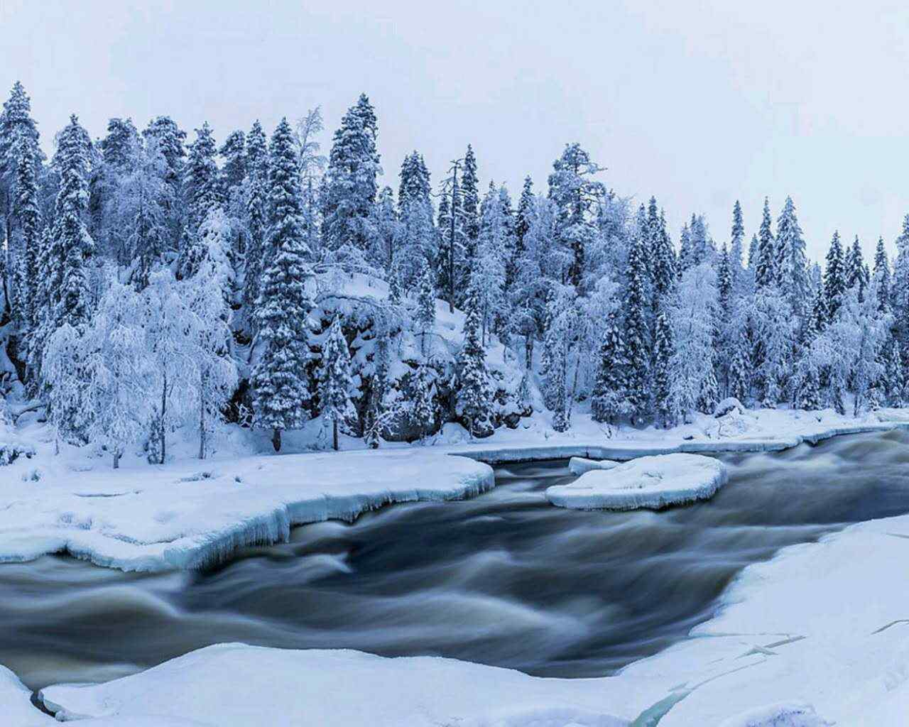 冬日唯美雪景图片高清桌面壁纸