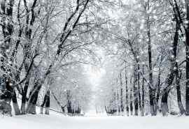 美丽的冬日雪景风景高清桌面壁纸