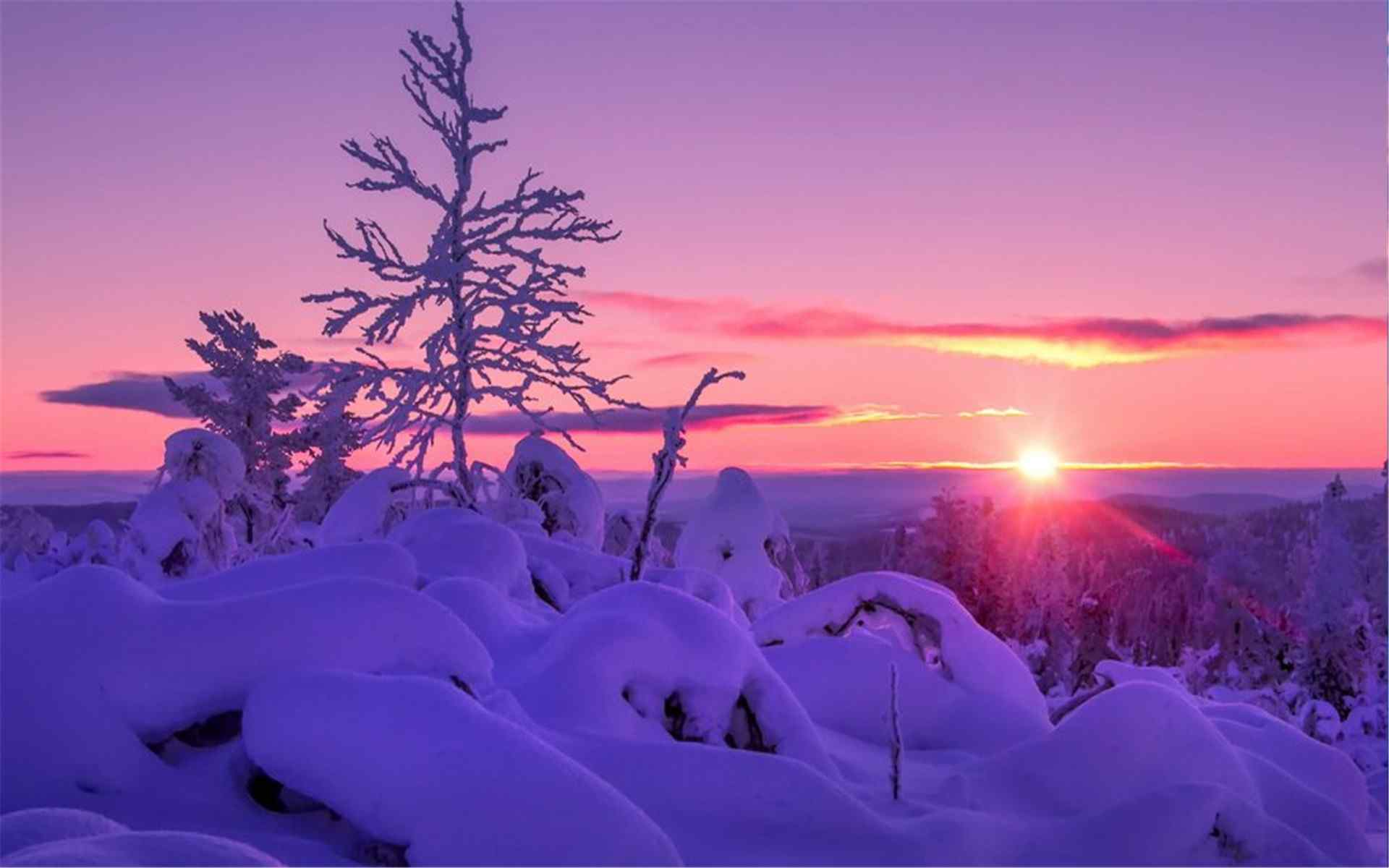 唯美的冬日夕阳风景图片高清壁纸