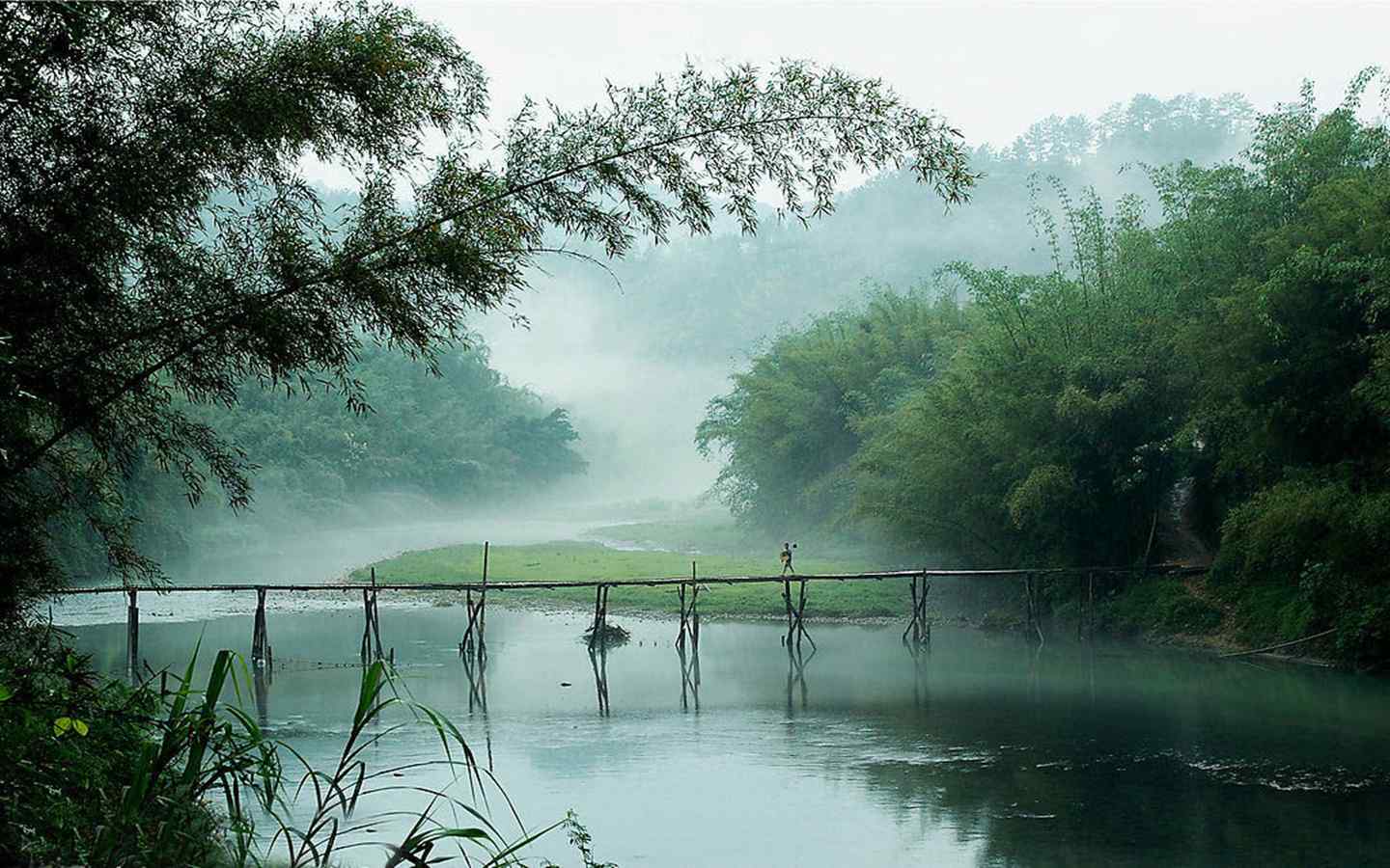 唯美宁静的竹林之美风景图片