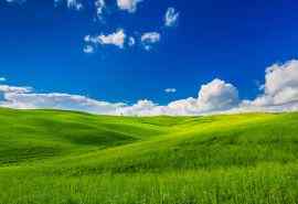 一望无际的美丽大草原风景图片